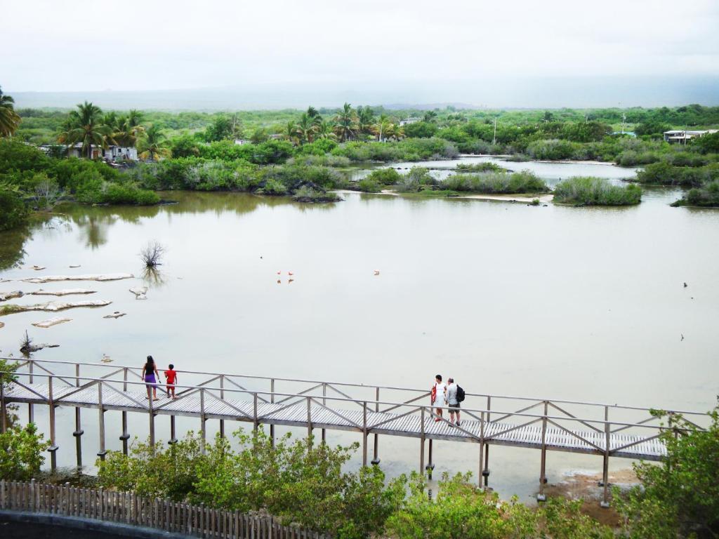 Hotel La Laguna Galapagos ปวยร์โต วิลยามิล ภายนอก รูปภาพ